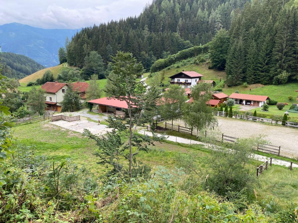 Farm stay Pferdehof Reitingau *