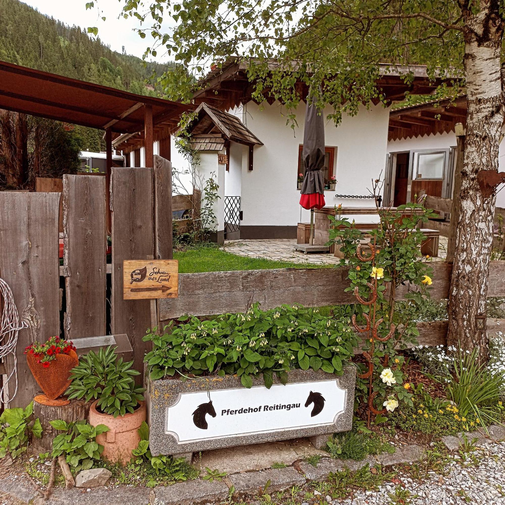 Pferdehof Reitingau * Mautern In Steiermark