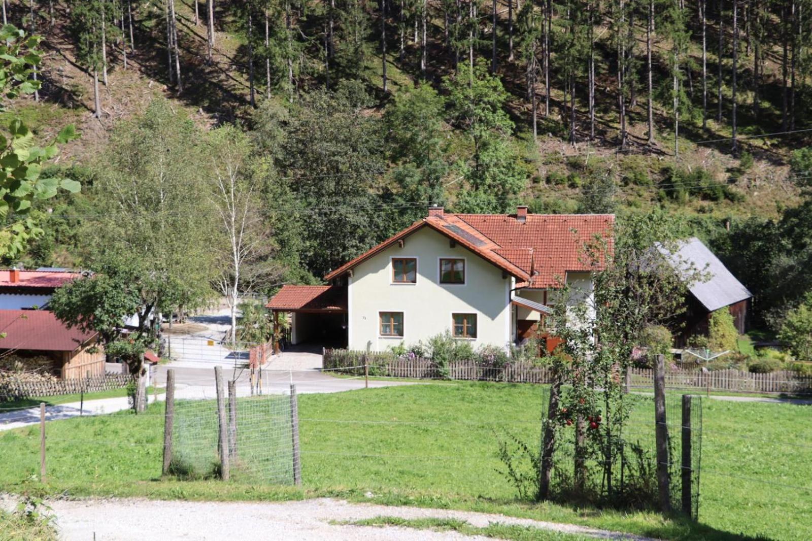 Pferdehof Reitingau * Mautern In Steiermark